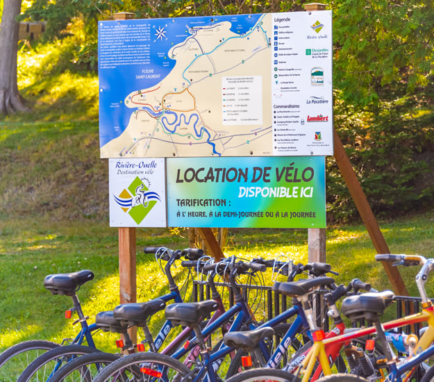 Activités location de vélo